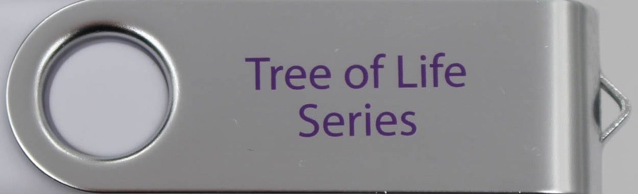 07-706 |  USB Thumbdrive - Parenting From The Tree of Life | 17 Sessions